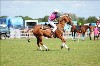 UKPA NC SAT_2312